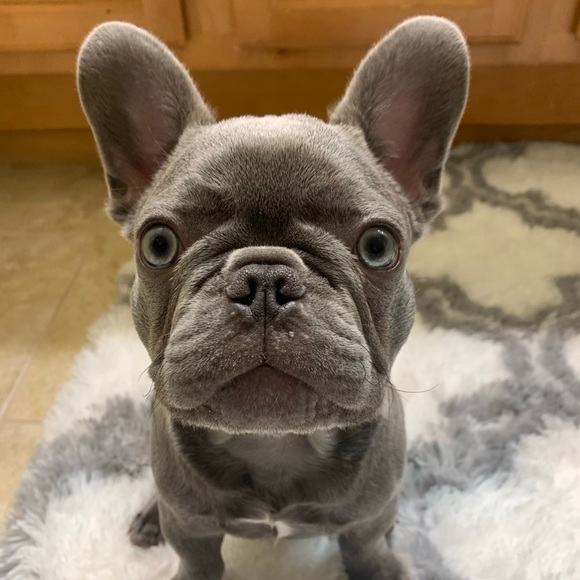 Meet your Posher, Keri - Picture 2 of 8